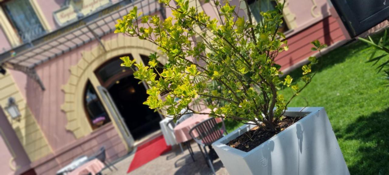 Hotel Villa Regina Margherita Ровиго Экстерьер фото
